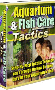 Aquarium & Fish Care - FREE DELIVERY or Get 1000 FREE when ordering CD