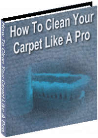 *How To Clean a Carpet Like a Pro Ebook   - *Free Postage*