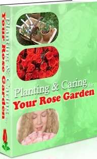 Planting & Enjoying Your Rose Garden on CD + Free Ebooks
