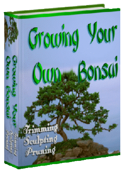 Grow Your Own Bonsai on CD + Free Ebooks