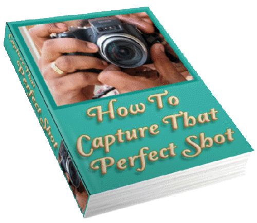 Getting The Best Out Of Your Digital Camera on CD + Free Ebooks
