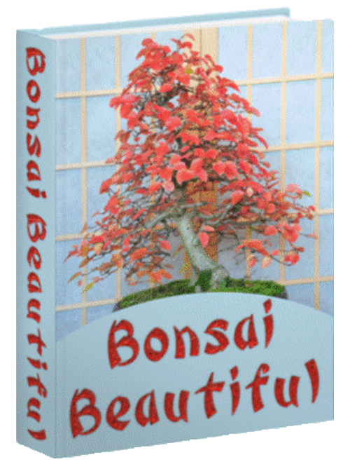 Bonsai Beautiful - FREE DOWNLOAD - Hobbies, Garden, Home