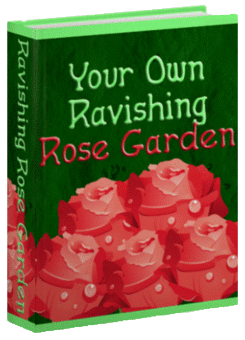 Ravishing Rose Garden - FREE DOWNLOAD/1000 FREE on CD - Garden, Home