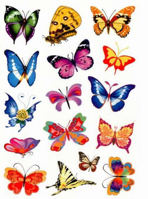 Colour Temporary Tattoos Butterfly Designs - Crafts