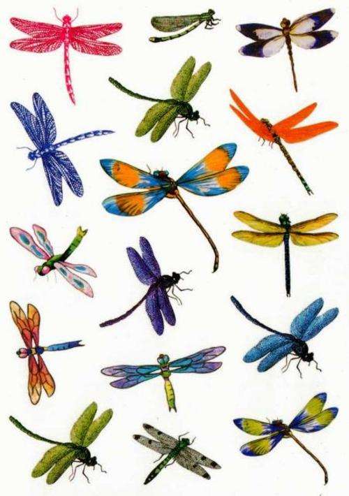 Colour Temporary Tattoos Dragonfly Designs - Crafts