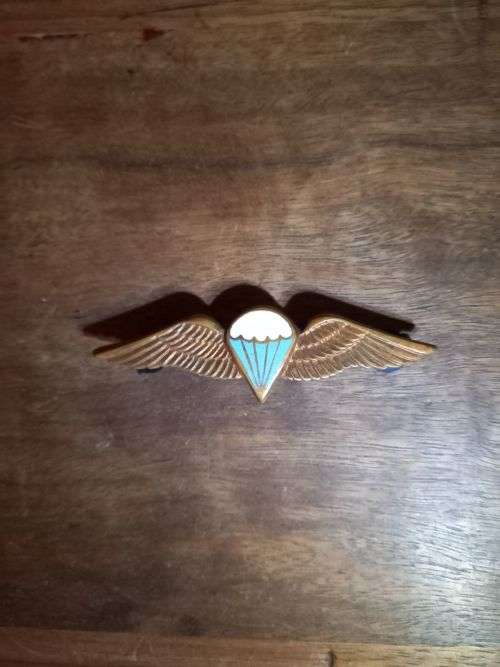 SADF Wings