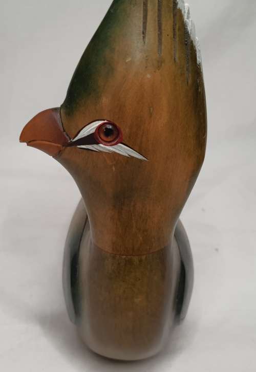 A BEAUTIFULL FULLSIZE CARVED KNYSNA LOERIE