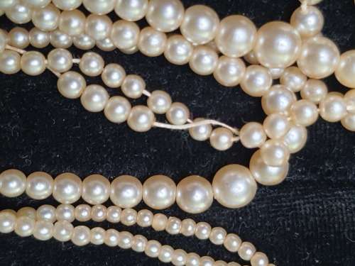 A VINTAGE JOBLOT CULTURED PEARL NECKLACES SOME MAY NEED NEW CLASPS SOLD AS IS