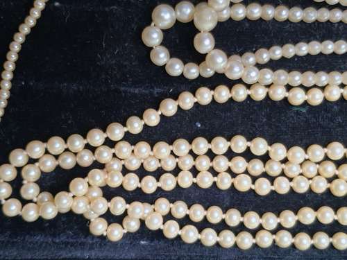 A VINTAGE JOBLOT CULTURED PEARL NECKLACES SOME MAY NEED NEW CLASPS SOLD AS IS