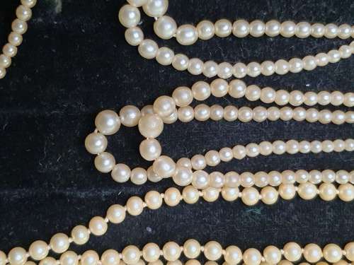 A VINTAGE JOBLOT CULTURED PEARL NECKLACES SOME MAY NEED NEW CLASPS SOLD AS IS