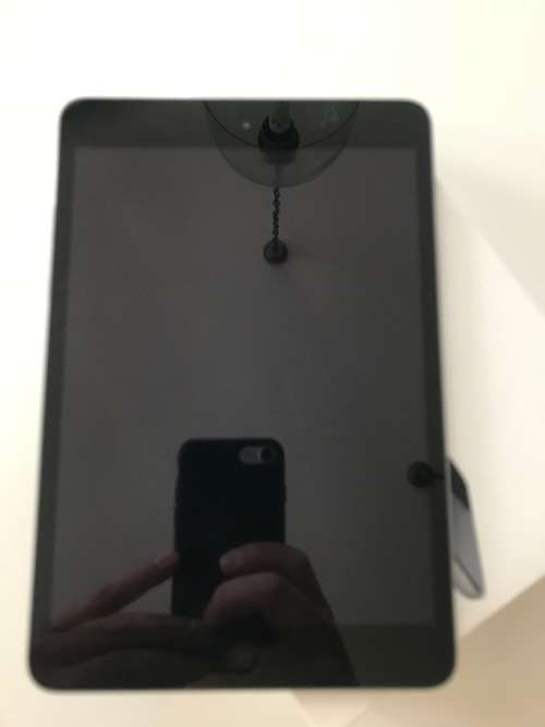 iPad Mini (Space Grey)