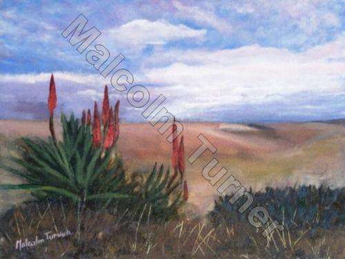 Clearance Sale - Red Hot Vista by Malcolm Turner - 450x300mm