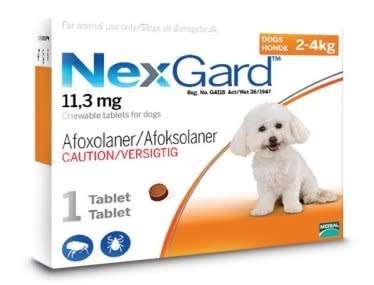NexGard Chewables - Tick & Flea Control - Small Dog 2-4kg - 1 Tablet