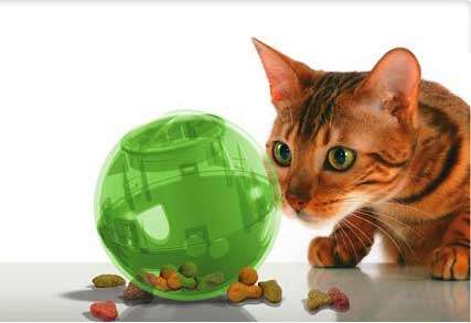 SlimCat interactive cat feeder - green