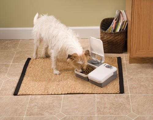 PetSafe 2-meal Pet feeder