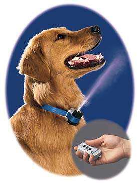 Spray Commander - Correct Your Dog's Behaviour