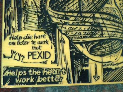 NILS BURWITZ RESIN ETCHING OF THE HUMAN HEART