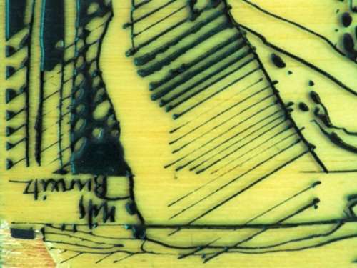 NILS BURWITZ RESIN ETCHING OF THE HUMAN HEART