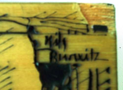 NILS BURWITZ RESIN ETCHING OF THE HUMAN HEART