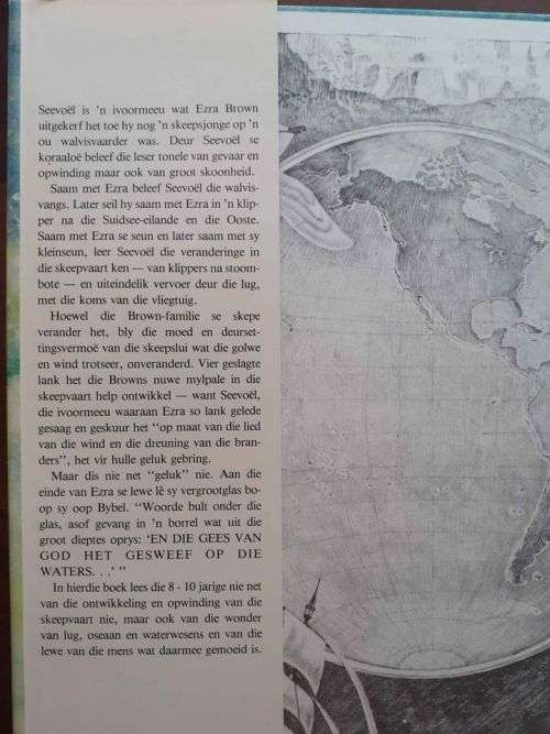 Seevoël ~ Holling Clancy Holling