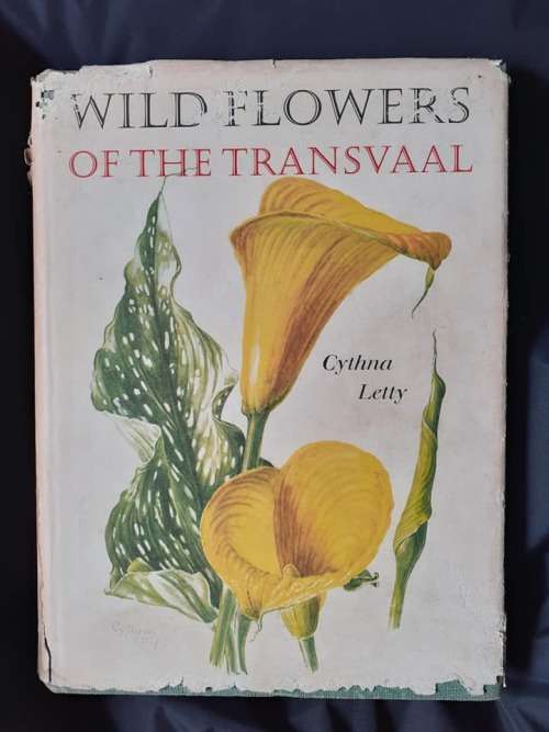 Wild Flowers Of The Transvaal ~ Cythna Letty