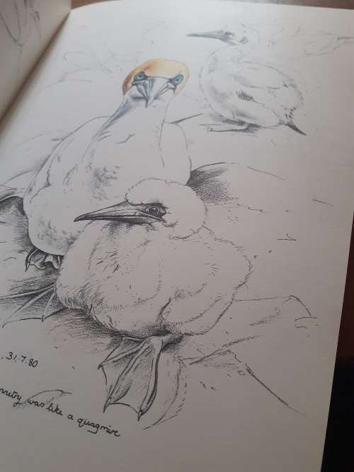 Keith Brockie`s Wildlife Sketchbook ~ Keith Brockie