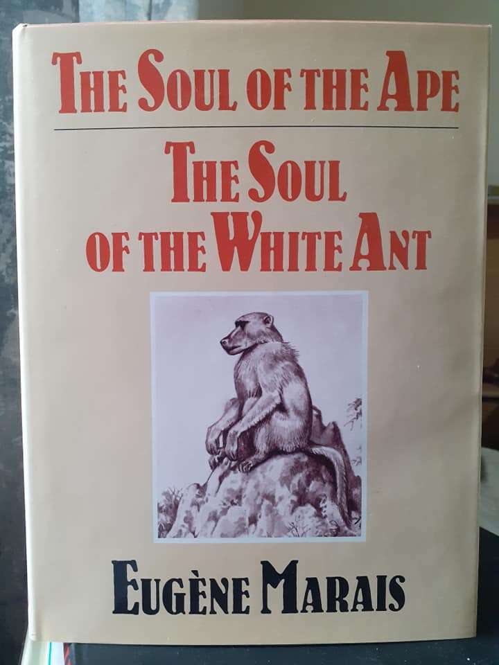 The Soul of the Ape / The Soul of the White Ant ~ Eugene Marais