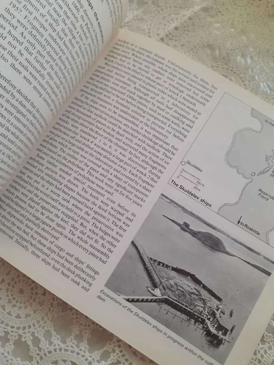 The Viking Ships ~ Ian Atkinson