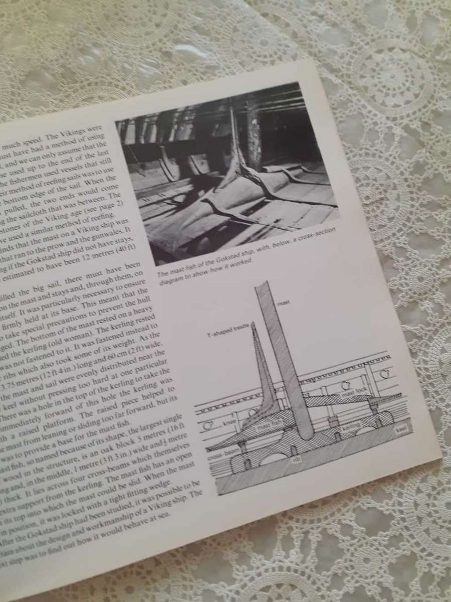 The Viking Ships ~ Ian Atkinson