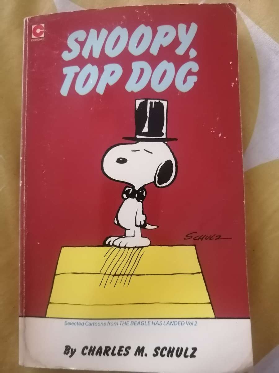 Snoopy Top dog