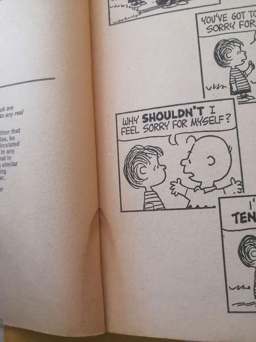 Charlie Brown and Snoopy