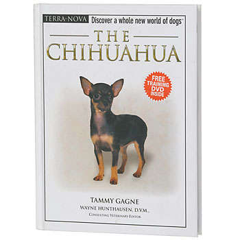 NEW**THE CHIHUAHUA WITH TRAINING DVD