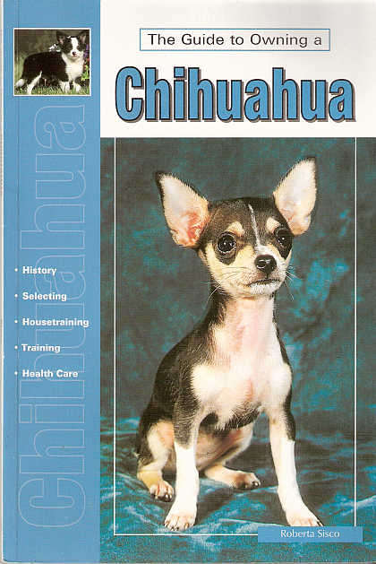 CHIHUAHUA