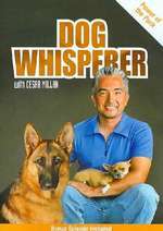 Power of the pack DVD  -The dog whisperer Cesar Milan