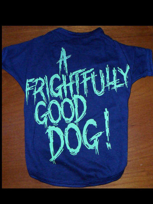 Dog T-shirts/jacket priced to go