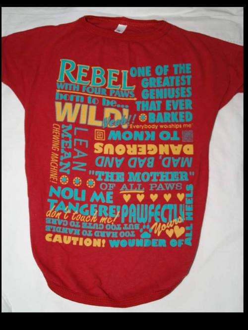 Dog jackets / t-shirts reduced to clear