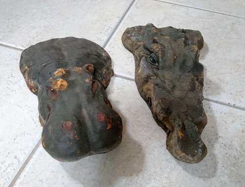 Floating Heads - Hippo & Croc