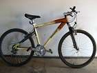 trail blaze mountain bike