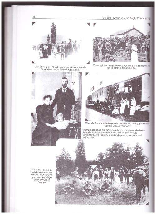 DIE BOEREVROU, 1899-1902, DEEL 1, MOEDERLEED