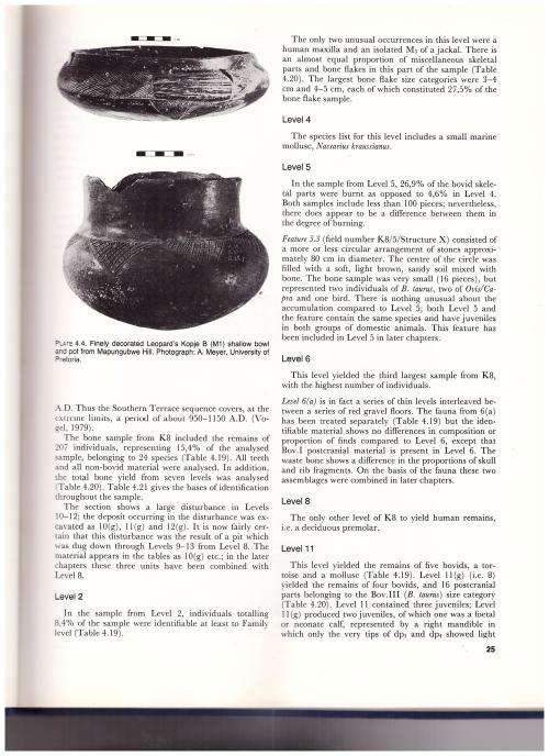 MAPUNGUBWE, AN ARCHAEOZOOLOGICAL INTERPRETATION OF AN IRON AGE COMMUNITY