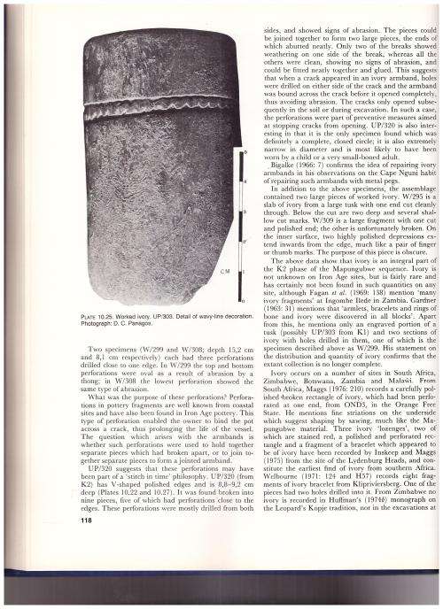 MAPUNGUBWE, AN ARCHAEOZOOLOGICAL INTERPRETATION OF AN IRON AGE COMMUNITY