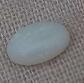 6.00 X 4.00 MM GENUINE AUSTRALIAN OPAL, WEIGHT 0.30CT.