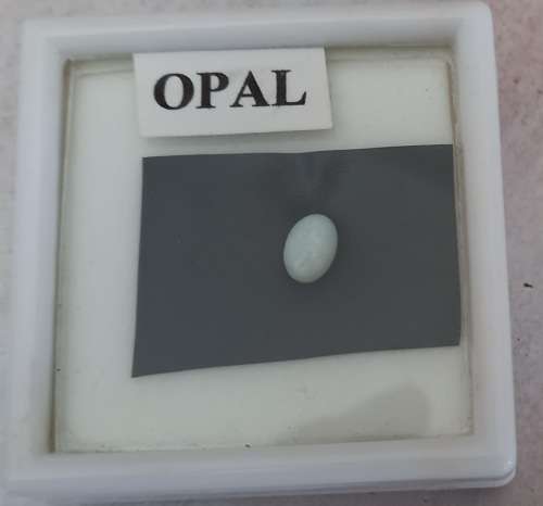 6.00 X 4.00 MM GENUINE AUSTRALIAN OPAL, WEIGHT 0.30CT.