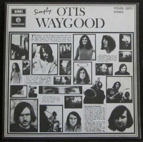 THE OTIS WAYGOOD BLUES BAND - SIMPLY OTIS WAYGOOD (LP/VINYL)
