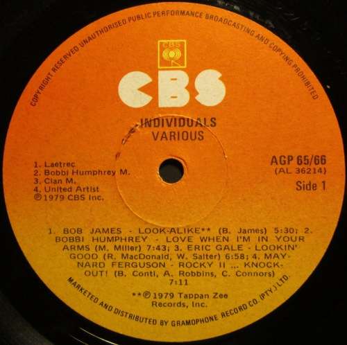 VARIOUS - INDIVIDUALS (2xLP/VINYL)