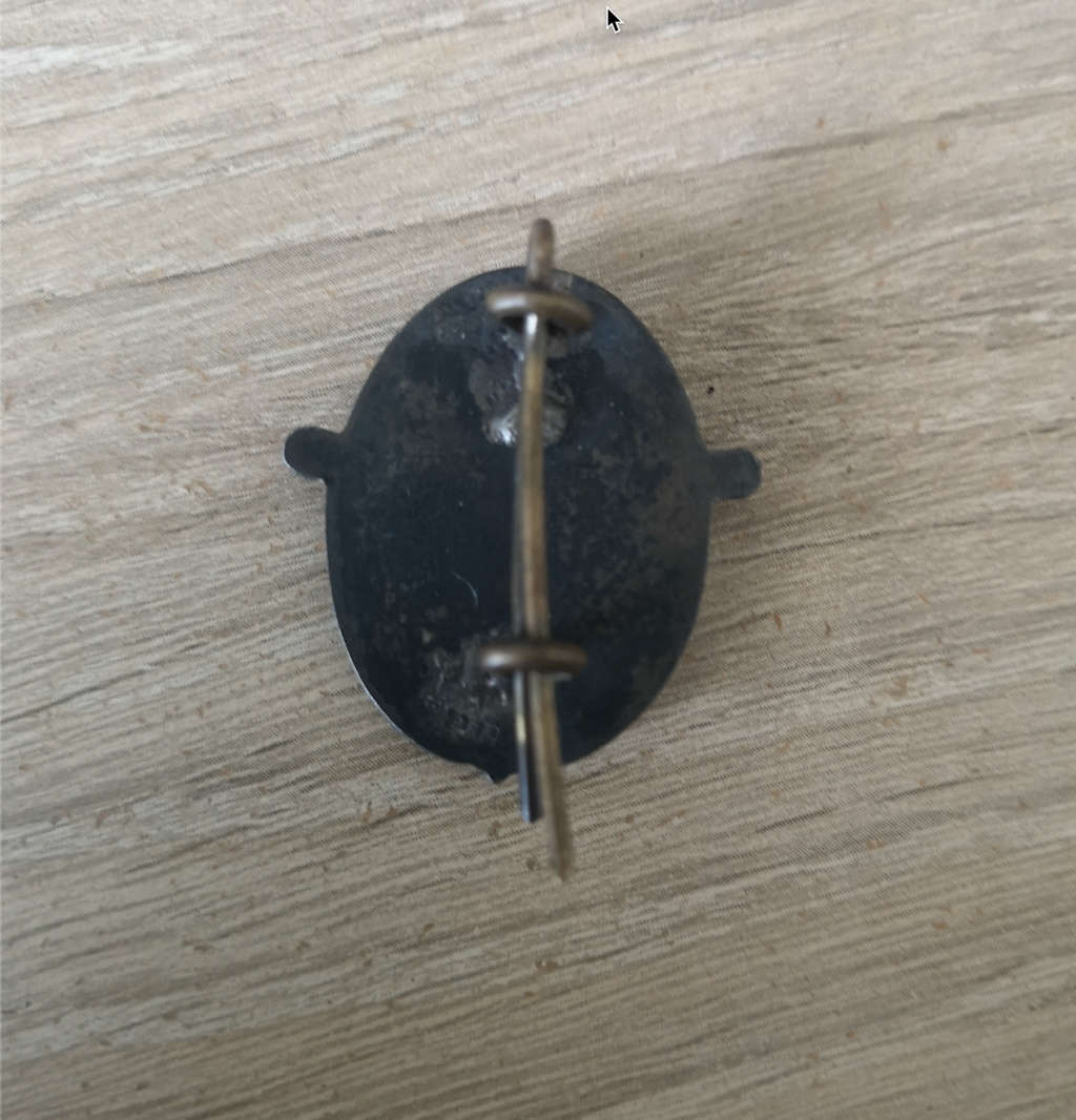 SA Nursing Council Epaulette Badge - Sterling Silve