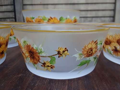 Vintage Set of 7 Kig Brilliant Frosted Glass Sunflower Dessert/Salad Bowls, Indonesian - Amazing