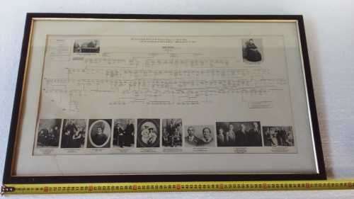 1820's Settlers - Family Tree - Robert Dickason British Settler in the 1820 Framed Piece of History