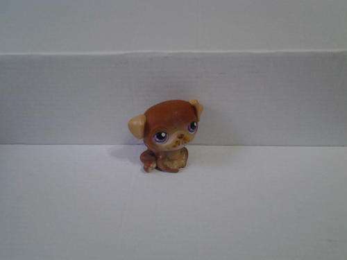 Little Pet shop light  brown dog