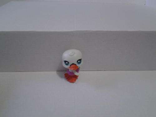 Little Pet shop duck